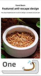 Reptile Water Food Bowl Anti-Escape Ceramic Feeder Dish for Lizard