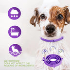 Dogs Calming Pheromones Collar Relieve Reduce Anxiety Stress