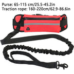 Adjustable Hands-Free Bungee Dog Leash