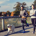 Adjustable Hands-Free Bungee Dog Leash