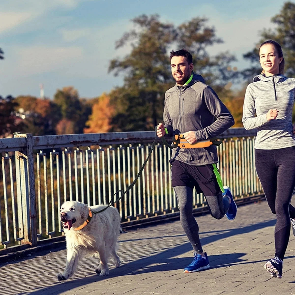 Adjustable Hands-Free Bungee Dog Leash