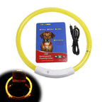 Luminous Pet Dog Collar Waterproof LED Dog Collar Rechargeable