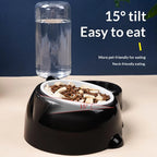 Pet Bowl 2-in-1 Auto Water Feeder, Tilted Elevated Cat Dog Bowl