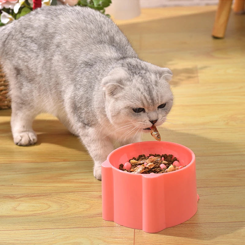 Small Cat and Dog Slow Feeding Anti-Choking Bowl with Neck