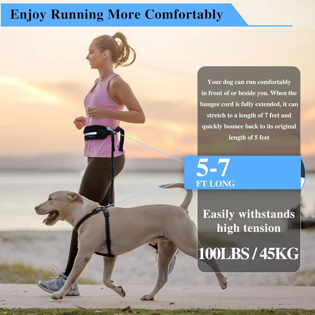 Reflective Hands-Free Running Dog Leash
