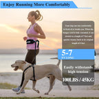 Reflective Hands-Free Running Dog Leash