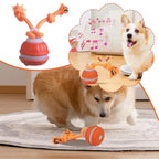 Pet Ball Interactive Toys for Dogs Motion Activate Rolling Ball