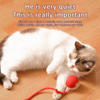Cat Interactive Ball Toys Automatic Rolling Ball Faux Tail