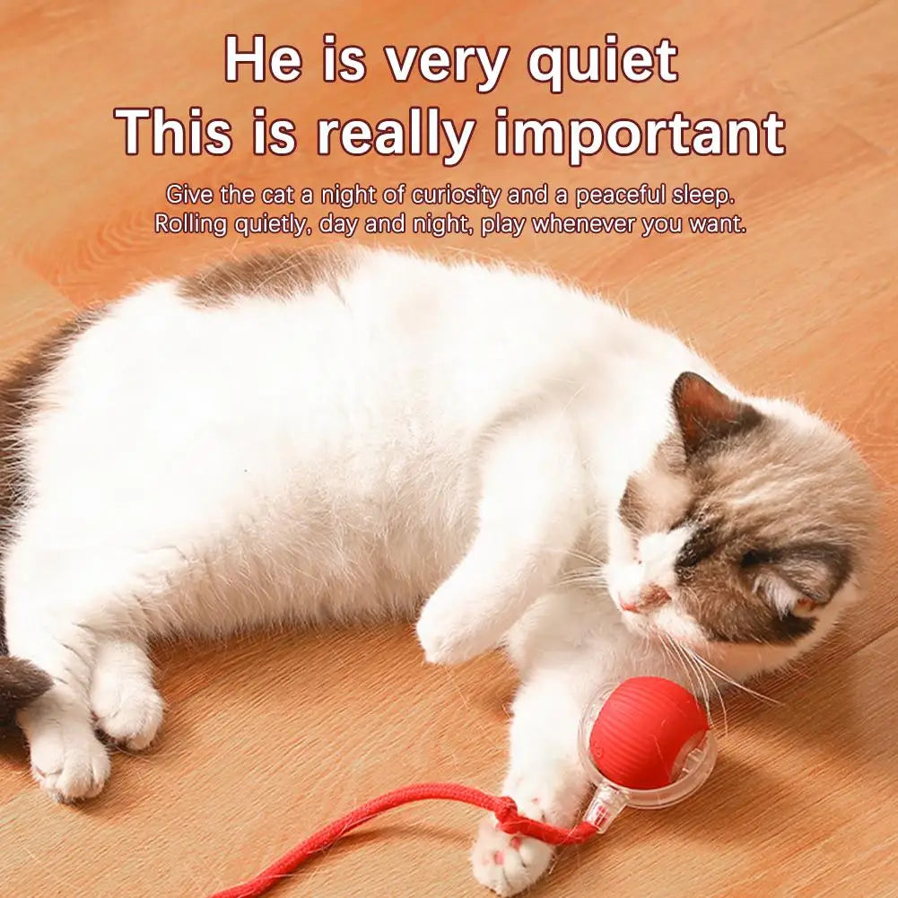 Cat Interactive Ball Toys Automatic Rolling Ball Faux Tail