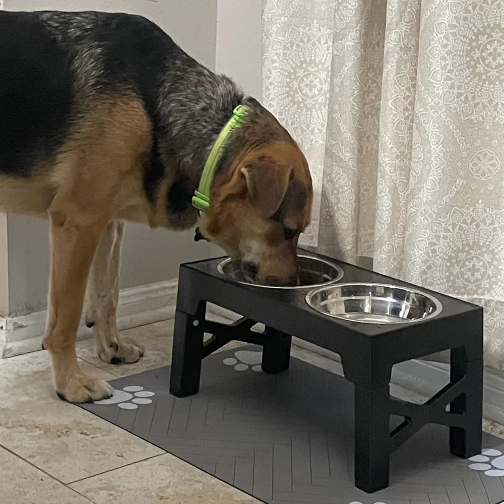 Elevated Dog Feeder Bowls Adjustable Raised Stand with Double