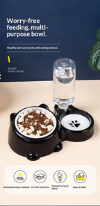 Pet Bowl 2-in-1 Auto Water Feeder, Tilted Elevated Cat Dog Bowl