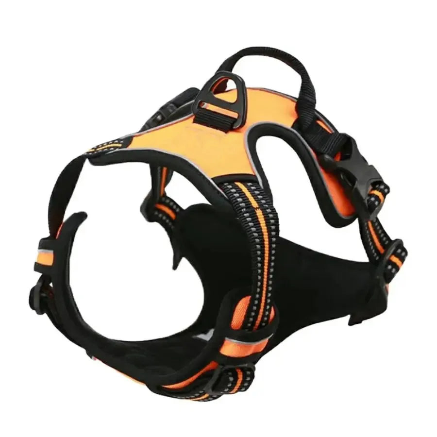 Dog Collars Harness Big Vests Leash Pet Shop Everything For Dogs