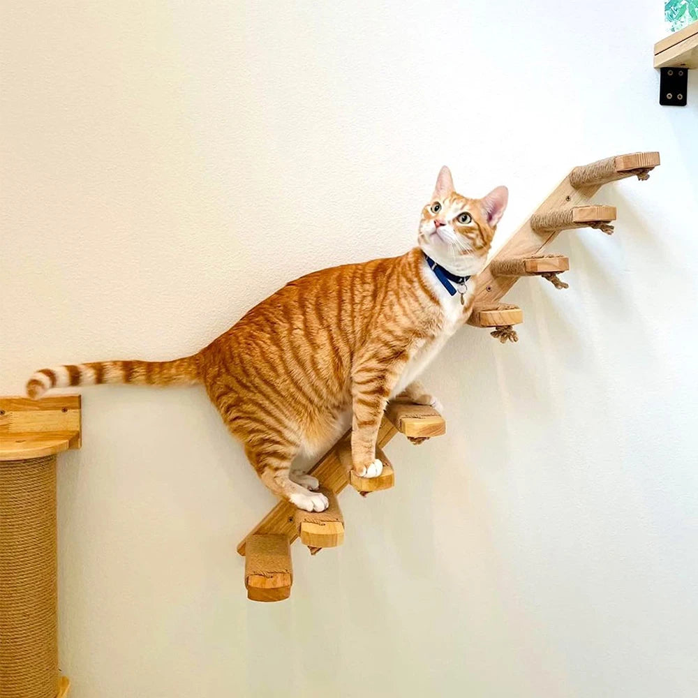 Cat Climbing Stairs Wall Mounted Steps Made of Wood and Sisal Rope