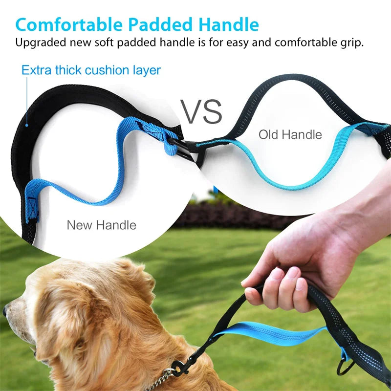 Adjustable Hands-Free Bungee Dog Leash