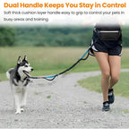 Adjustable Hands-Free Bungee Dog Leash
