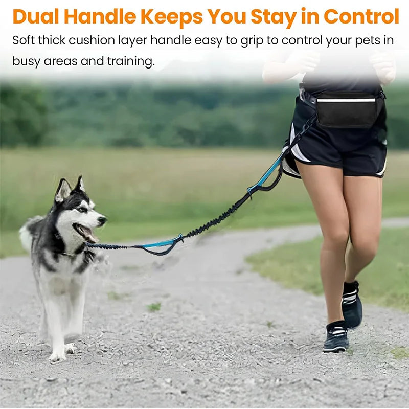 Adjustable Hands-Free Bungee Dog Leash