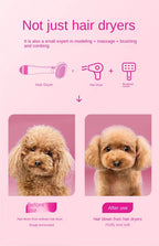 Pet Hair Dryer Dog Grooming Golden Retriever Hairdressing Dog