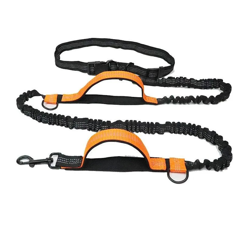 Adjustable Hands-Free Bungee Dog Leash