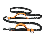Adjustable Hands-Free Bungee Dog Leash