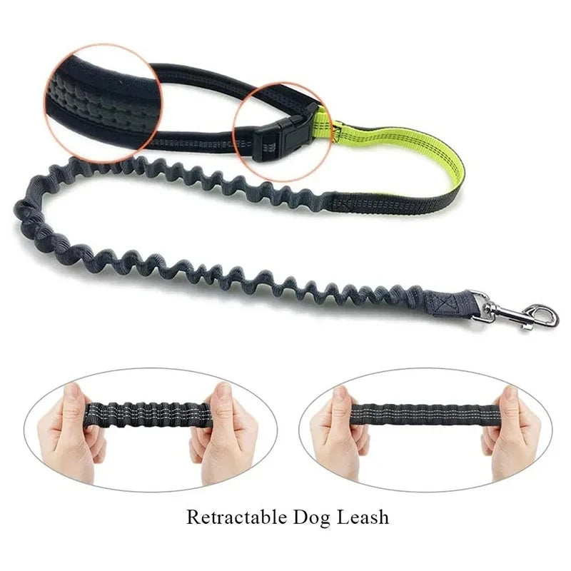 Adjustable Hands-Free Bungee Dog Leash