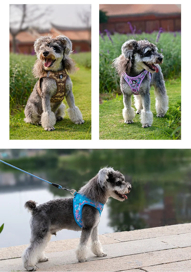 Truelove Pet Harness Soft Air Mesh Adjustable Reflective Pet Vest