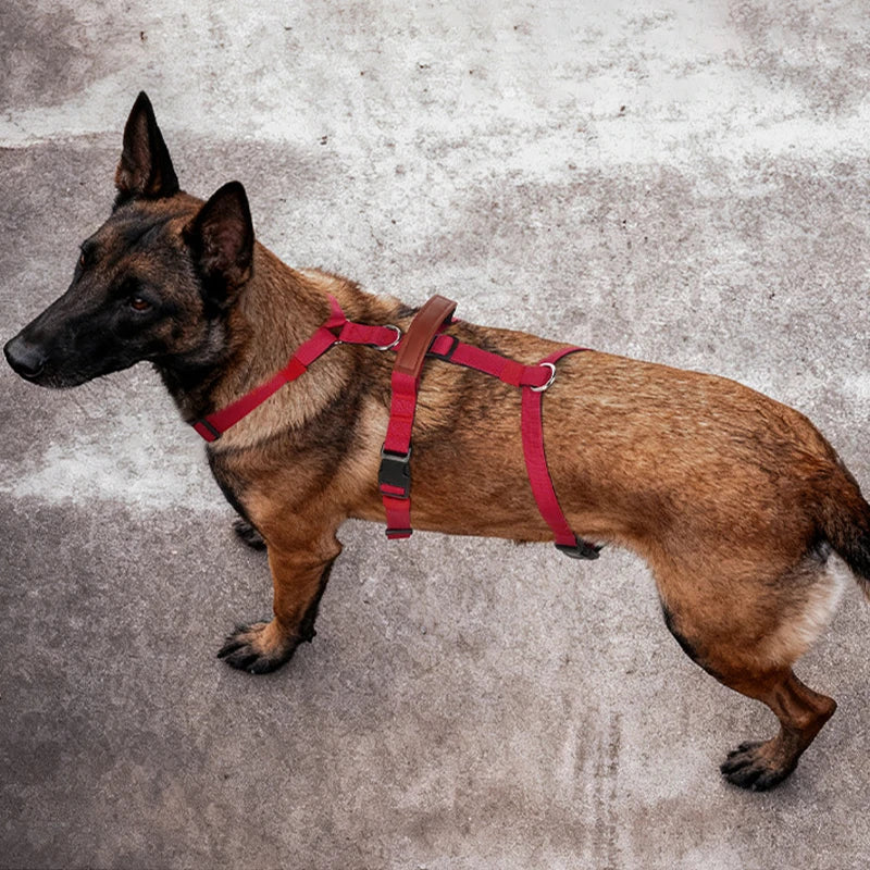 No-PUll Dog Harness for Large Dogs Outdoor Training