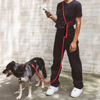 Dog Leash Hands Free Dogs Leash 3M Long Waterproof Leashes For Dog