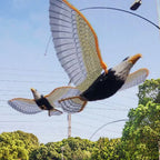 Simulation Bird Cat Toys Funny Self-Hey Hanging Door Automatic