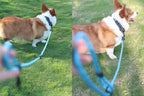 Dog Leash Hands Free Dogs Leash 3M Long Waterproof Leashes For Dog