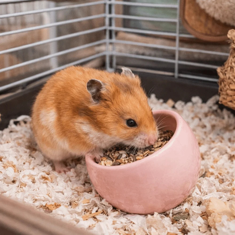 Ceramic Hamster Food Bowl Non-Slip Slanted-Edged Pet Feeding Bowl