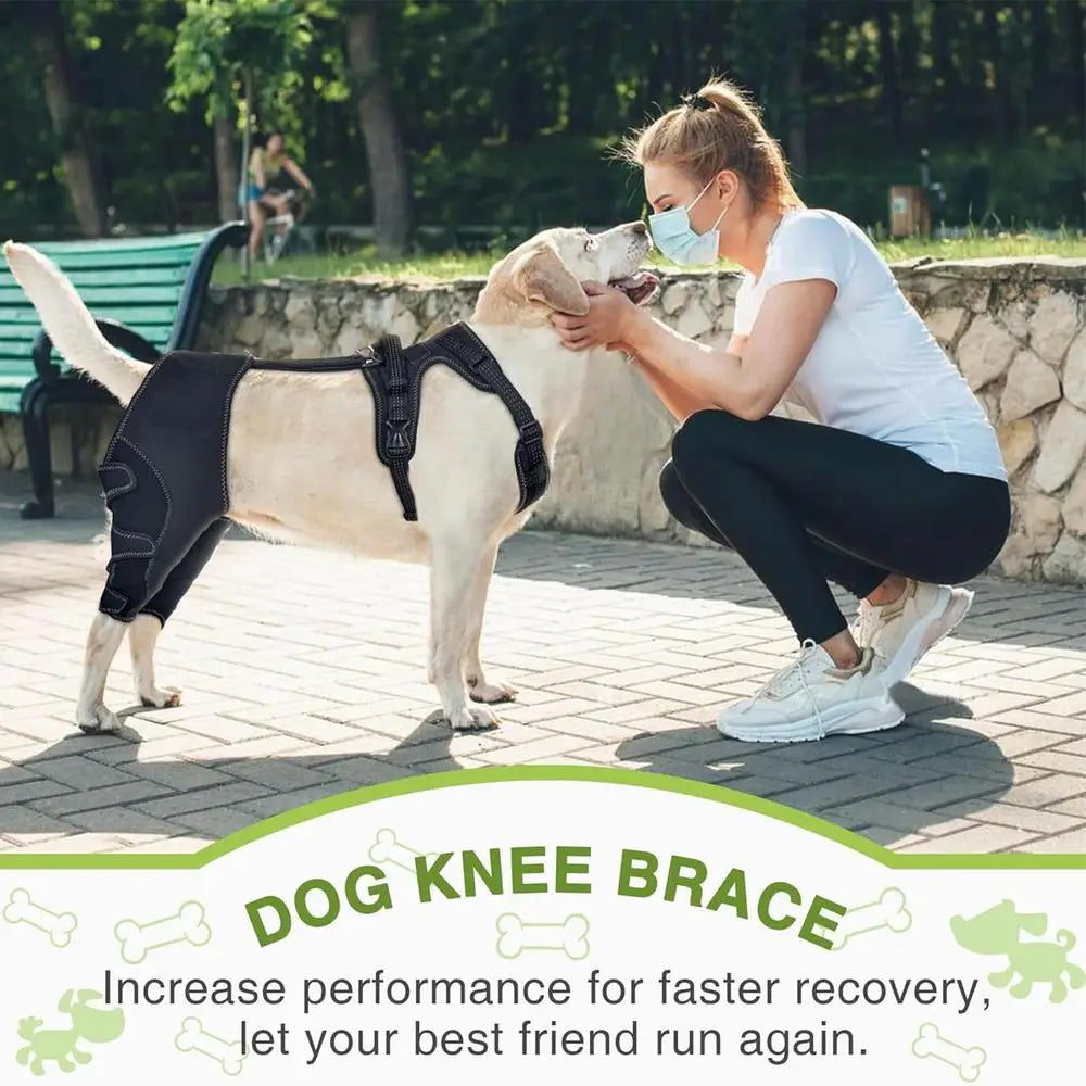 Orthopedic Brace for Dogs Pet Joint Hip Support Brace Adjustable