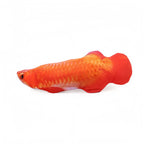 Pet Cat Favor Fish Toy Stuffed Fish Shape Cat Scratch Board