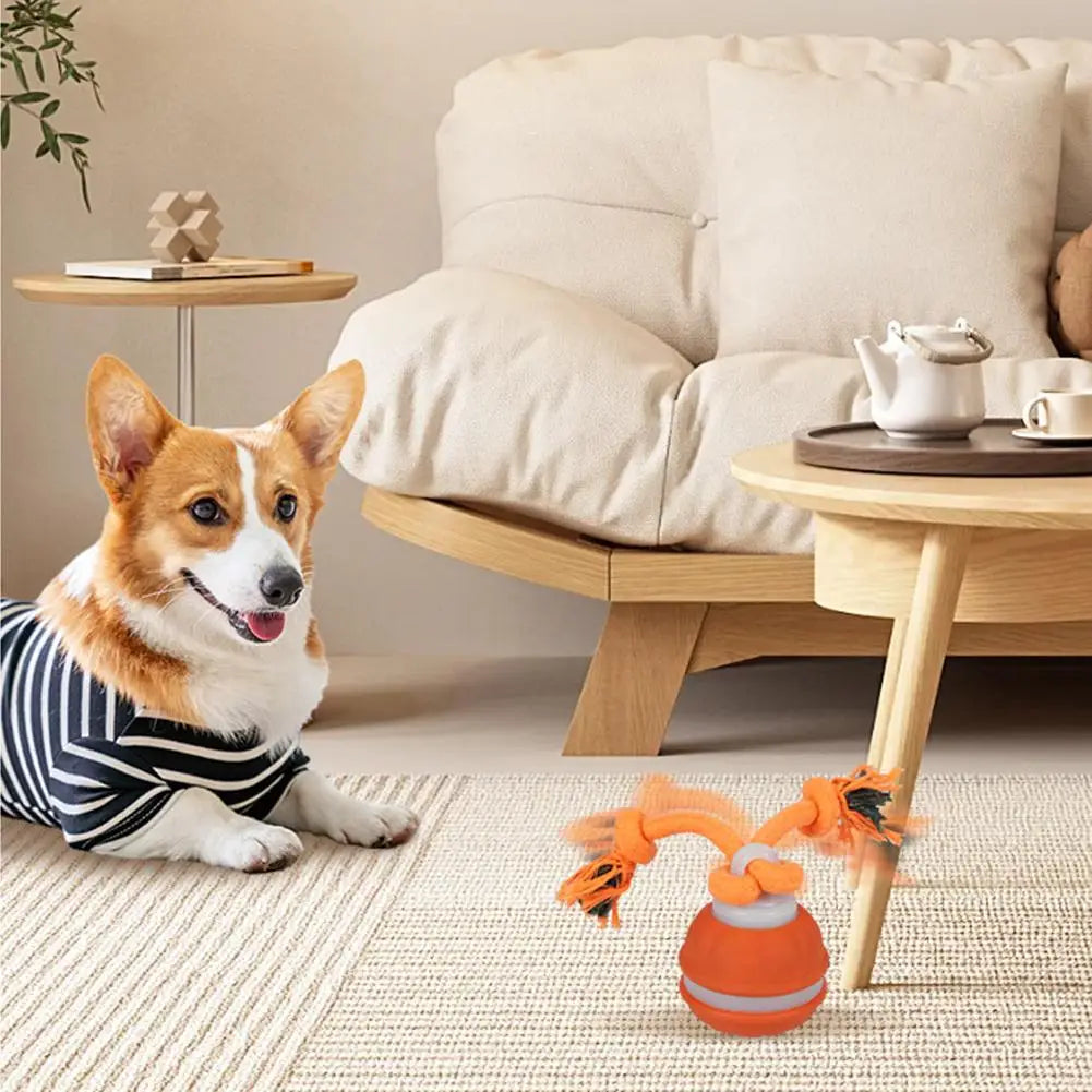 Pet Ball Interactive Toys for Dogs Motion Activate Rolling Ball