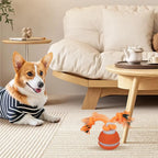 Pet Ball Interactive Toys for Dogs Motion Activate Rolling Ball