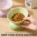 Ceramic Elevated Cat Bowls Tilted Cat Food Bowl Dish Pet Feeder