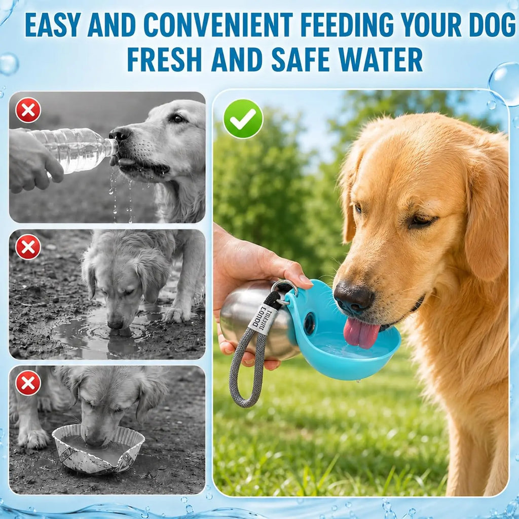 Portable Dog Water Bottle, Plastic/Stainless Steel Pet Water