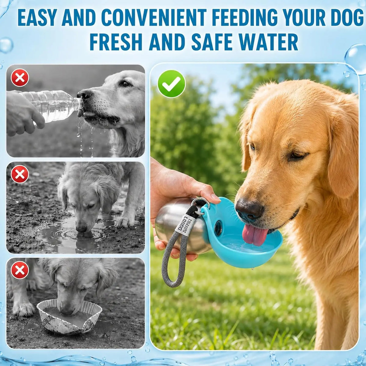 Portable Dog Water Bottle, Plastic/Stainless Steel Pet Water