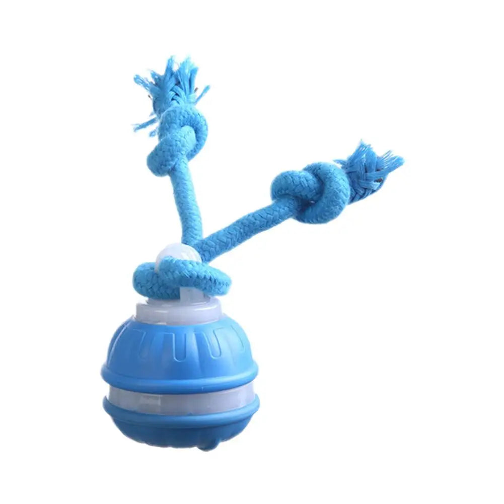 Pet Ball Interactive Toys for Dogs Motion Activate Rolling Ball