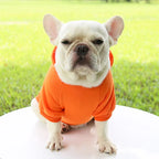 Autumn Winter Pet Dog Hoodies Warm Coat Sweater Small Medium Dog