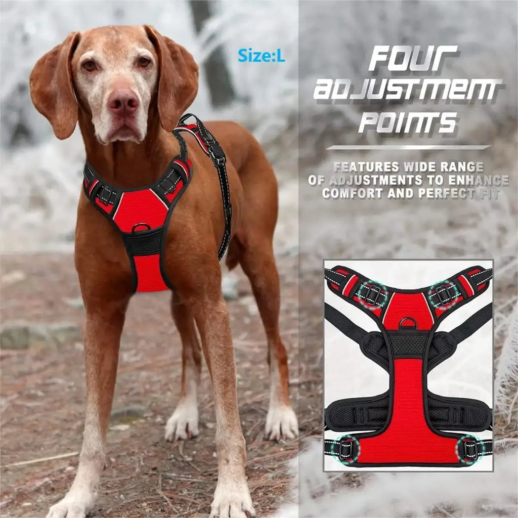Dog Collars Harness Big Vests Leash Pet Shop Everything For Dogs