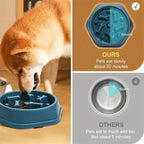 Dog Slow Feeder Bowl Anti-Choking Food Bowl for Dogs Slow Eating
