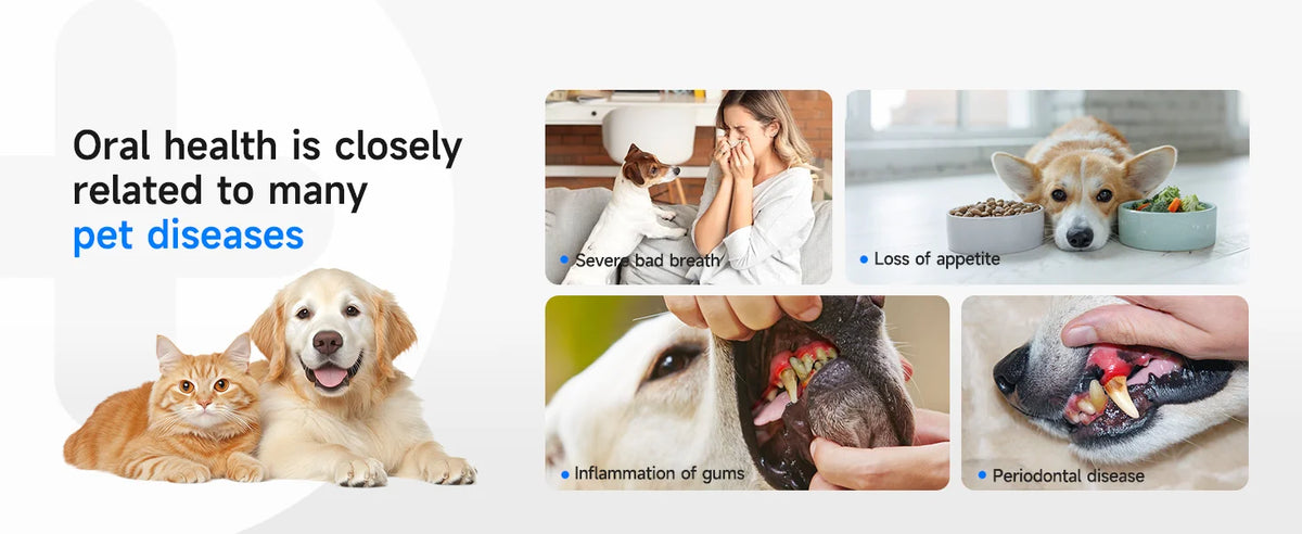 Pet Electric Teeth Cleaner Dog Cat Ultrasonic Dental Scaler Plaque Calculus Tartar Stains Remover Tooth Whitening Oral Cleaning