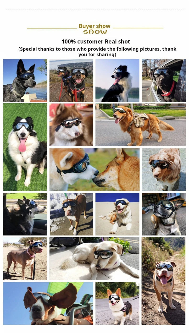 Transparent Color Pet Dog Goggles Waterproof Windproof Sunscreen