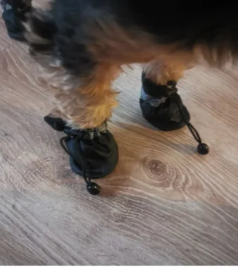 All-Weather Paw Booties