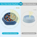 Slow Feeder Dog Bowl Anti-Choking PUppy Food Bowl Anti-Slip Pet