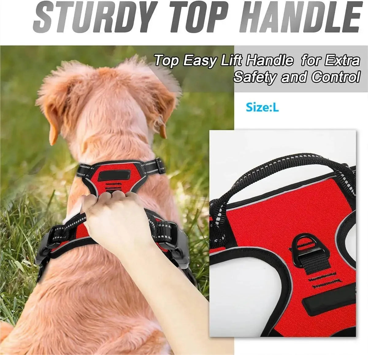 Dog Collars Harness Big Vests Leash Pet Shop Everything For Dogs
