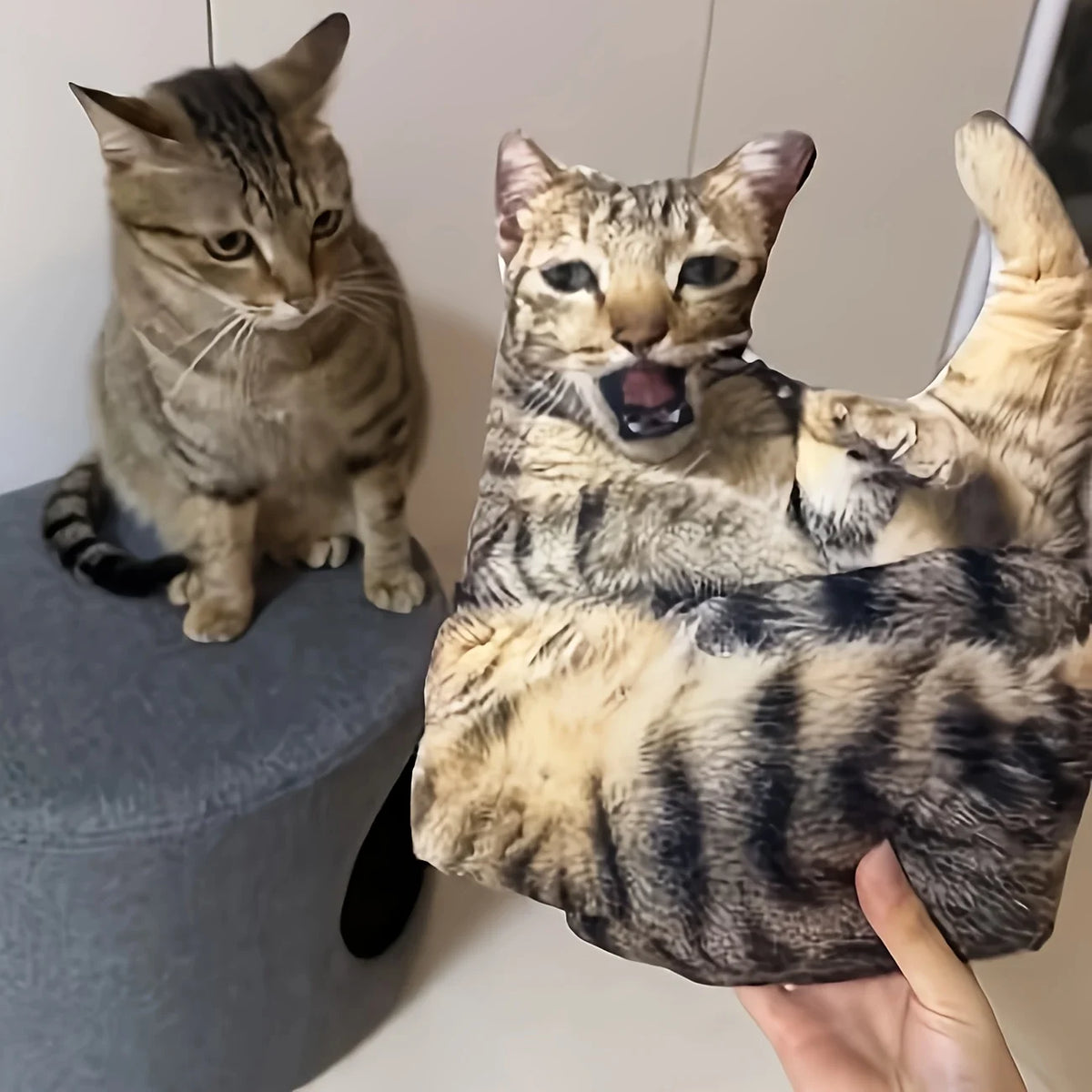 Customizable 3D Pet Pillow