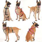 No-PUll Dog Harness for Large Dogs Outdoor Training