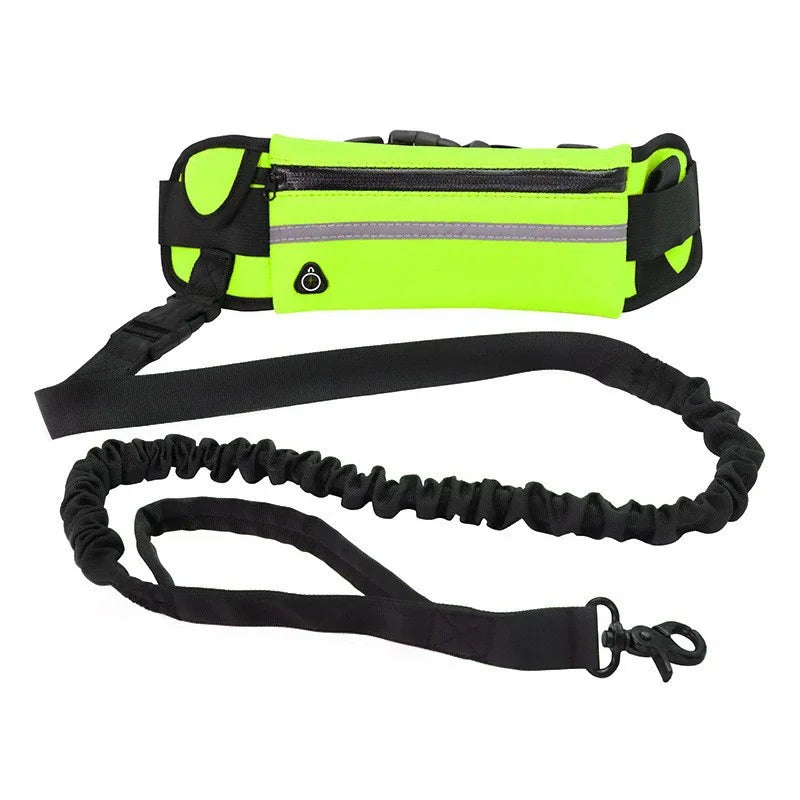 Adjustable Hands-Free Bungee Dog Leash