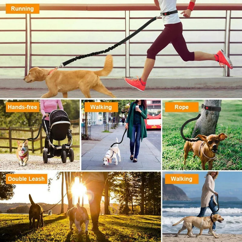 Adjustable Hands-Free Bungee Dog Leash